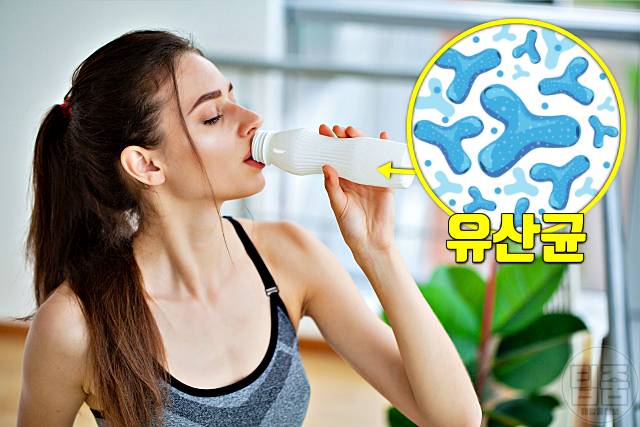 뇌를 속이는 다이어트 운동없이 10kg빼기 유산균 추천