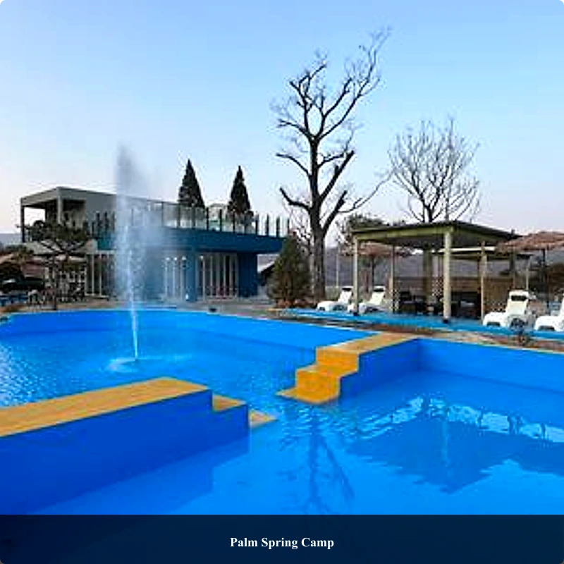 Palm Spring Camp_1