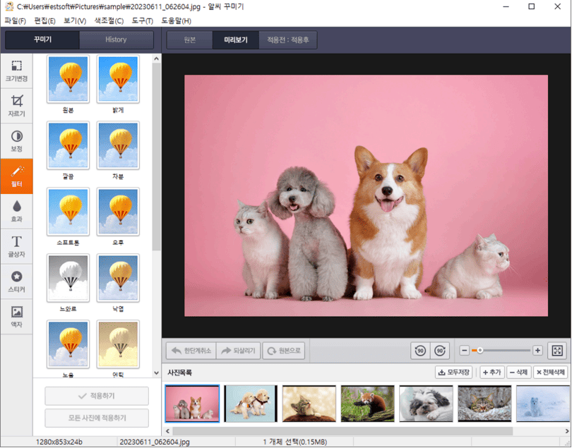 알씨-필터-강아지