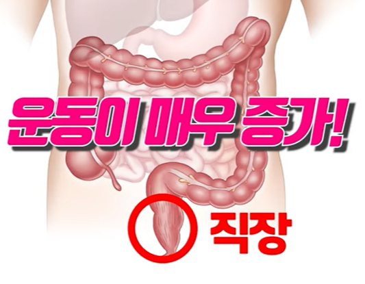 식사 후 직장운동 으로 인한 압력증가 
