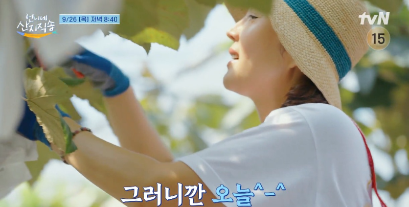 tvN 예능 언니네 산지직송 11화 염정아 스타일링 모자 제품 정보. 베이지색 모자에 청록색 띠가 포인트인 라피아 햇.