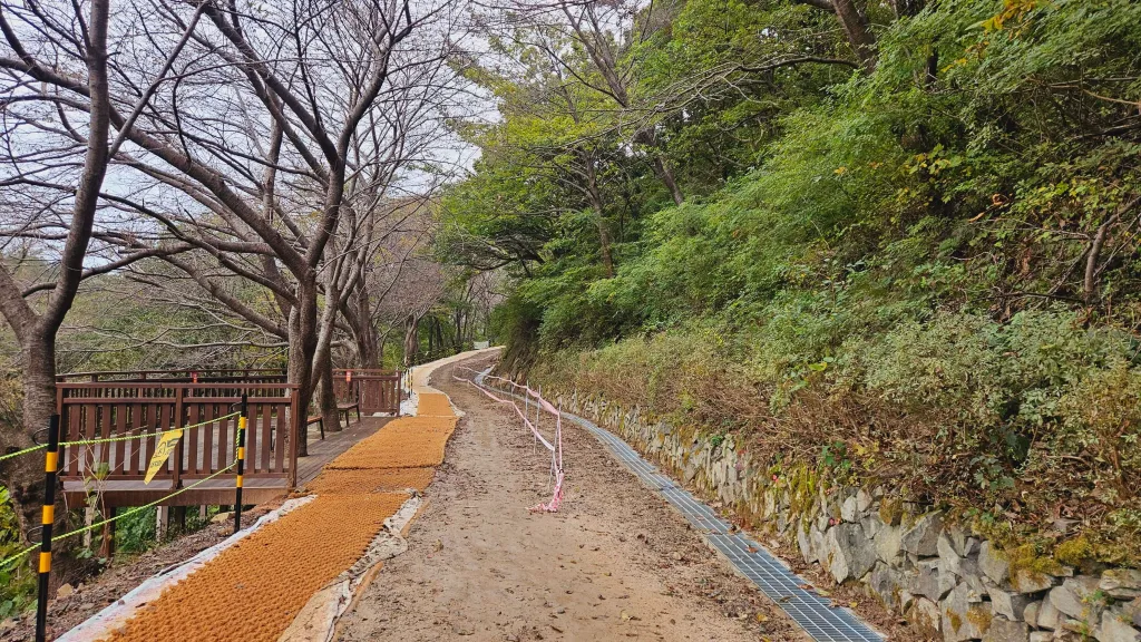 엄광산 맨발숲길