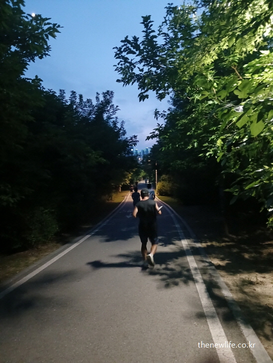 어두운 숲길에서 빠른 속도로 일반 조깅하는 사람들