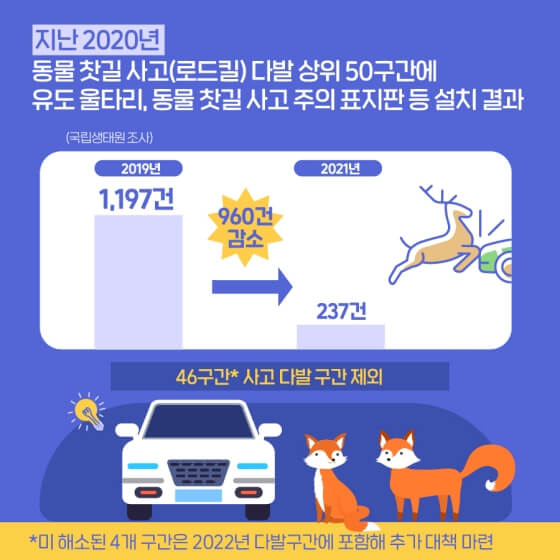 로드킬사고통계