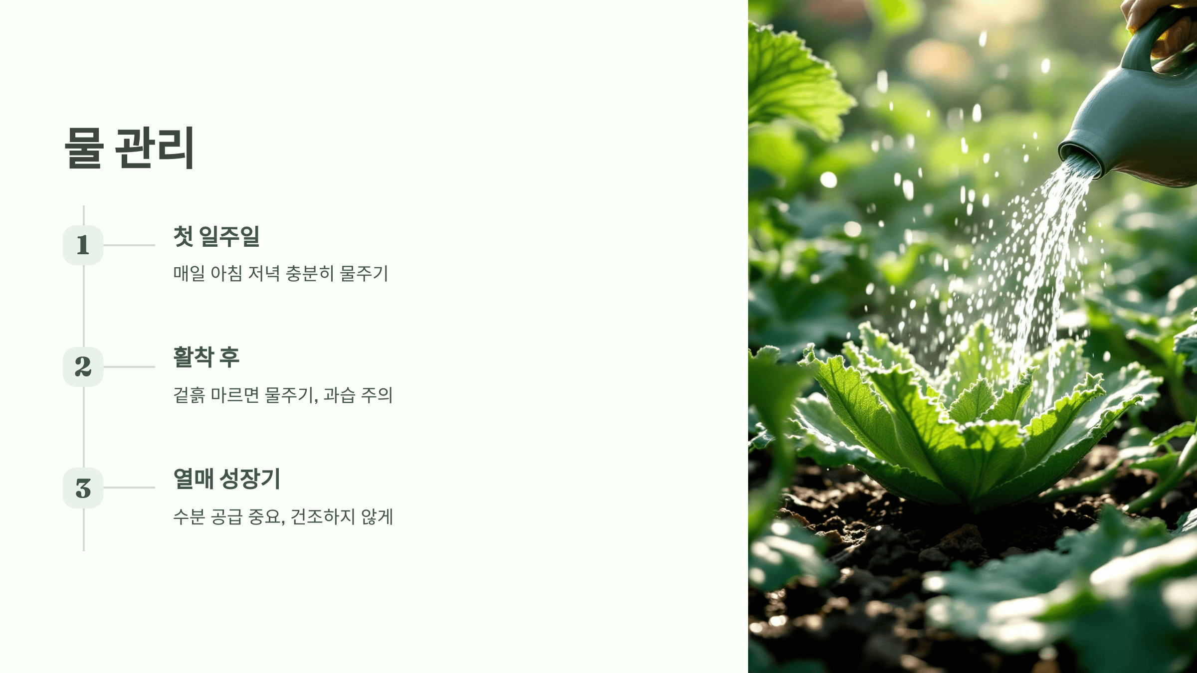 참외 사진입니다.