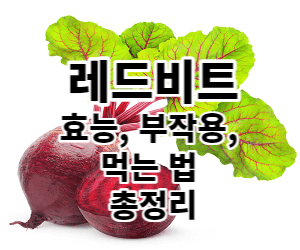 레드비트