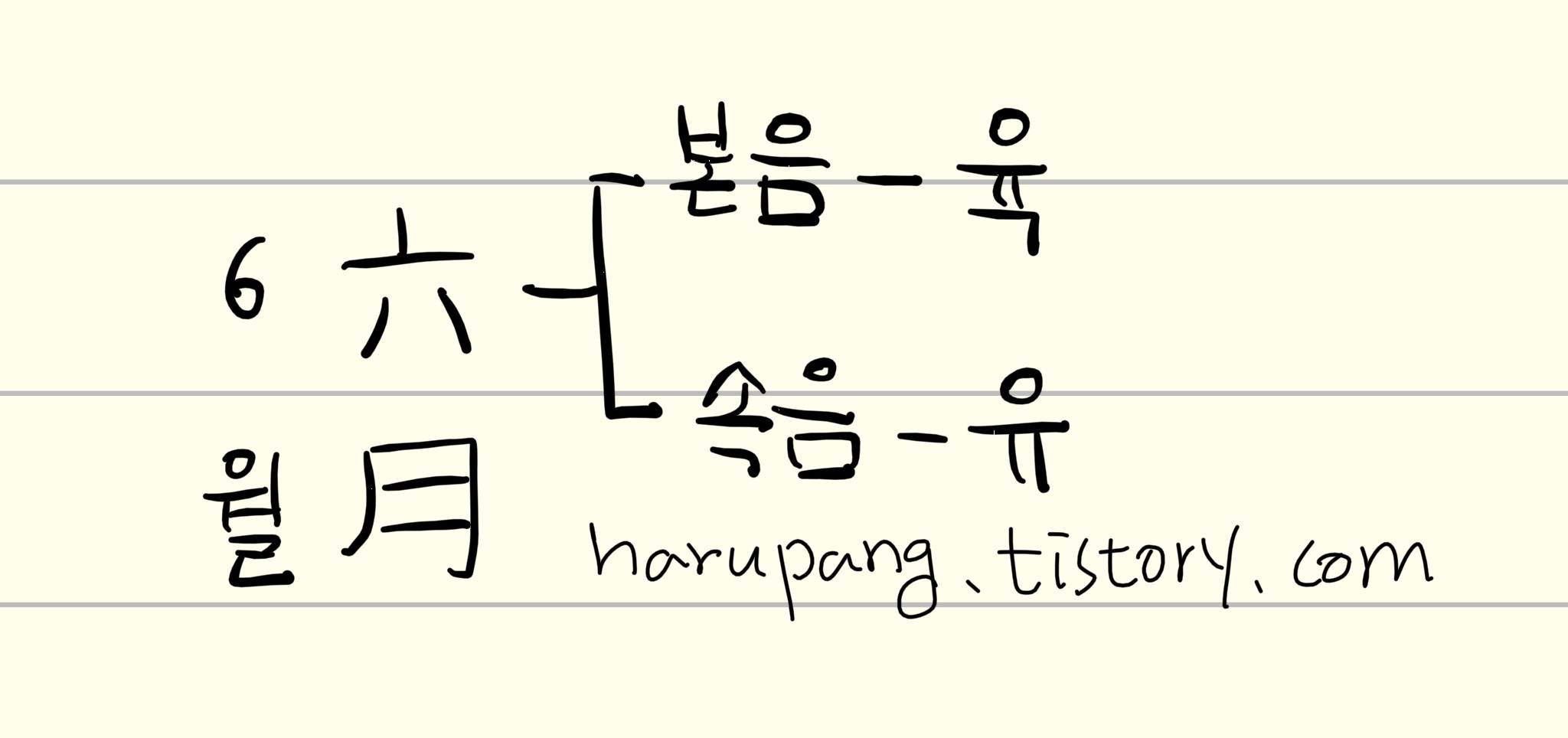 '6월'의 한자 '六月'에서 '六'이 본음 '육'과 속음'유' 로 나뉘는 것을 필기한 이미지
