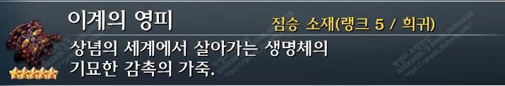 이계의 영피 설명