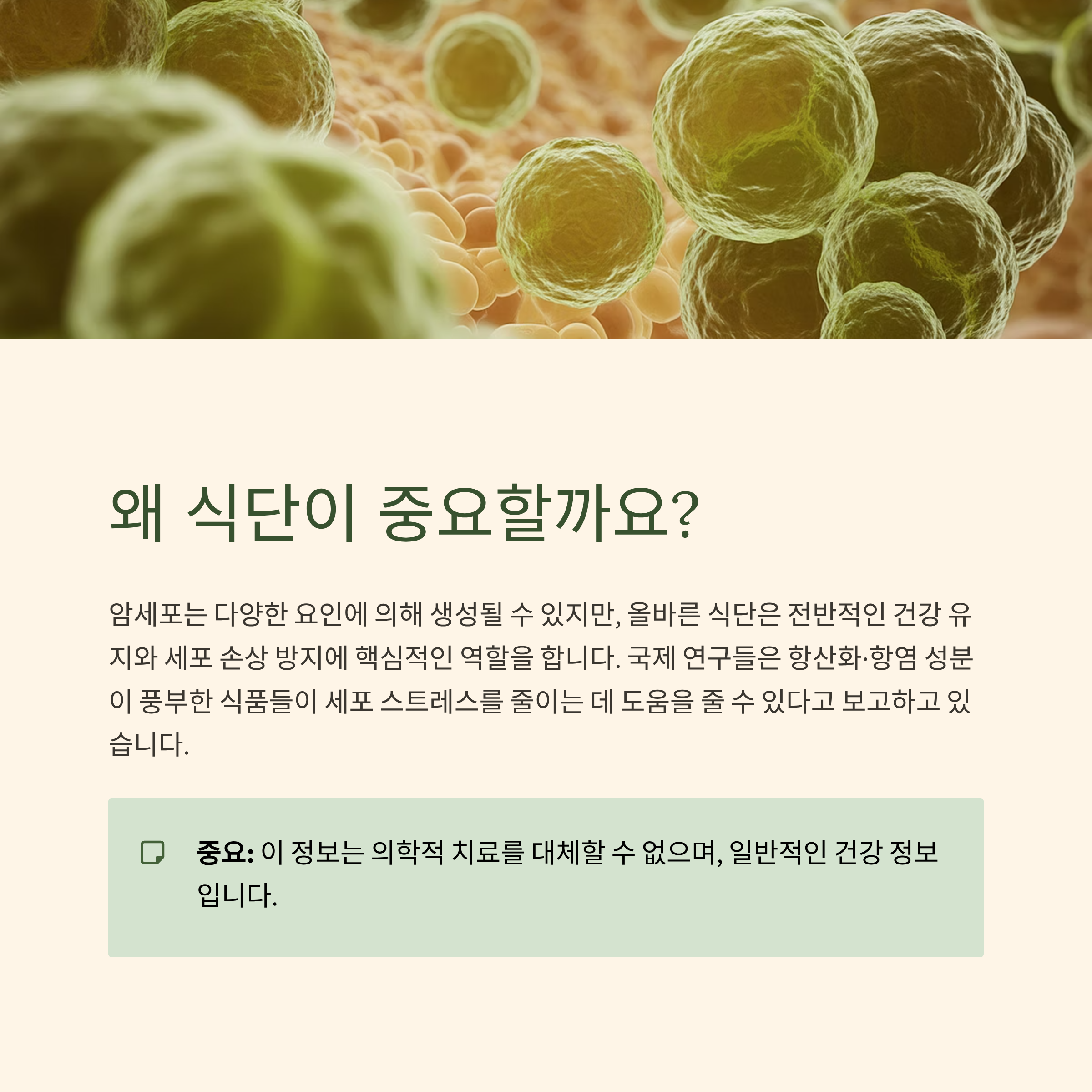 식단이 중요한 이유