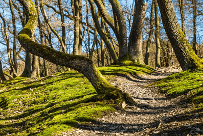 9월 산행지 추천