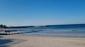 제주 월정리 해변 감성 여행지 카페 거리 소개_10