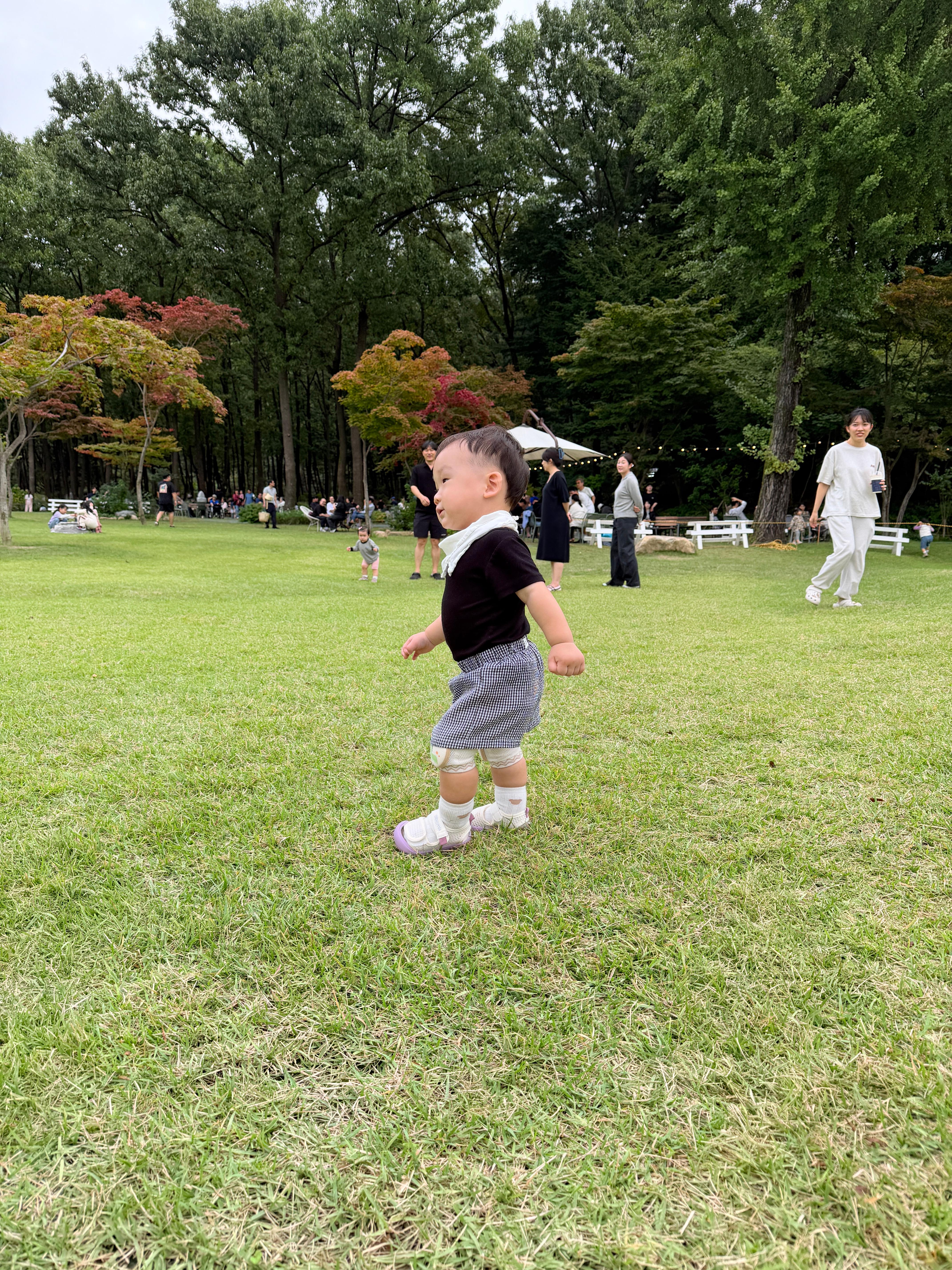 파크프리베 잔디밭에서 신나게 걸어다니는 아기 솔블리