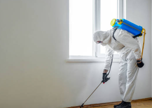 바퀴벌레 퇴치 업체