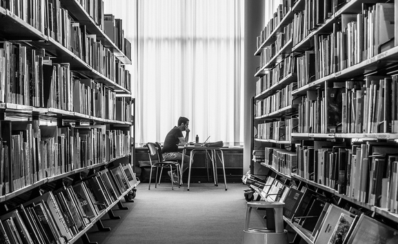 빛이 천천히 내려앉는 자리 - 도서관 창가에서 배우는 사유의 자세