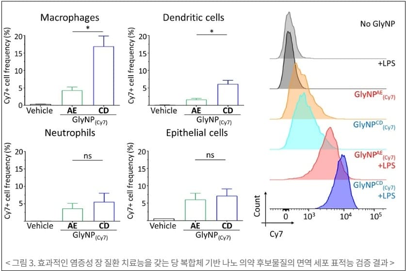 카이스트, 만성 염증성 장 질환 치료제 개발 Anti-inflammatory Glycocalyx-Mimicking Nanoparticles for Colitis Treatment: