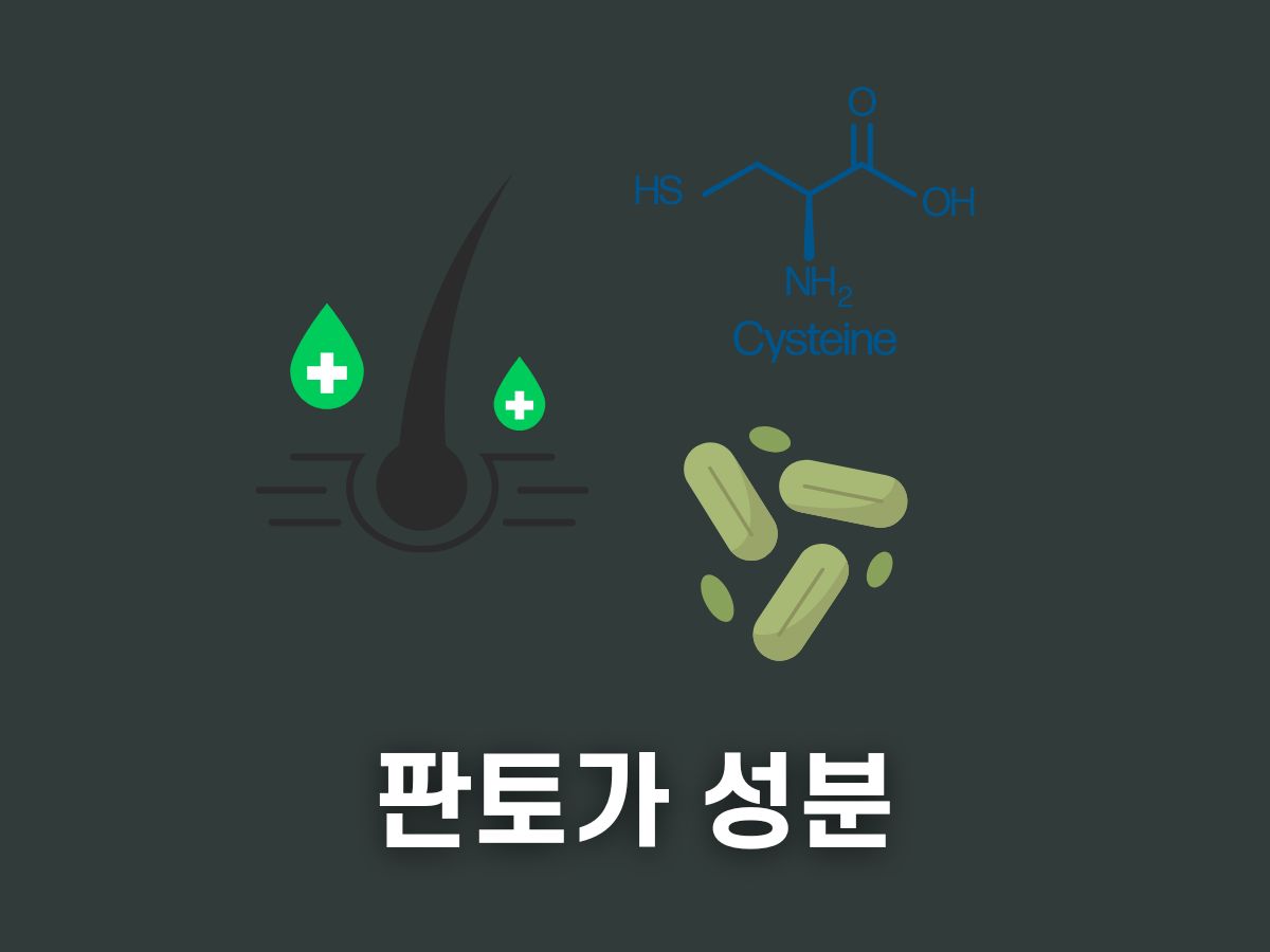 판토가 성분