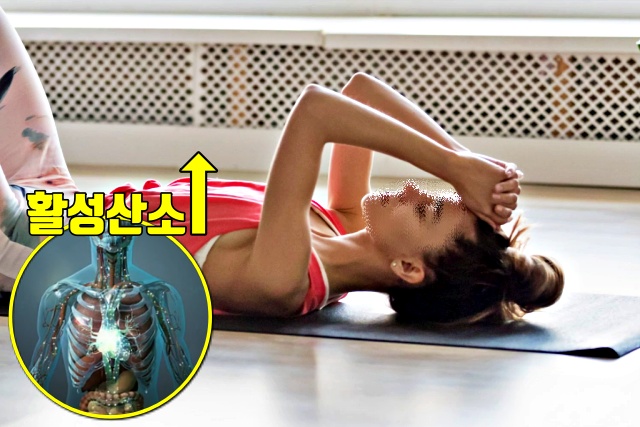 활성산소 안좋은 운동 줄이기 방법 스트레칭, 건강 팁줌 매일꿀정보