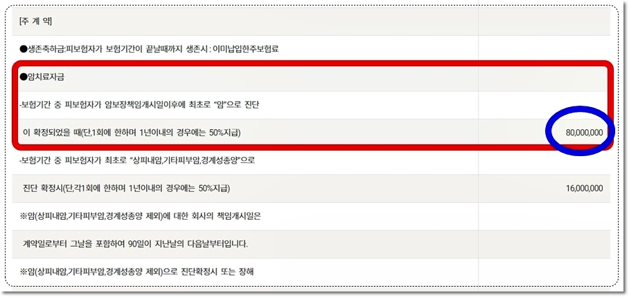 KDB생명 웰빙자기사랑암보험 주계약 보장내용 암치료금 80,000,000원