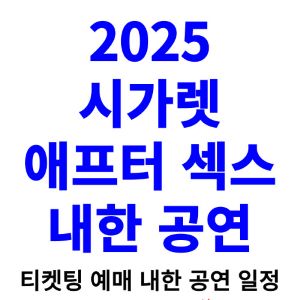 시가렛-애프터-섹스-내한-티켓팅-예매-콘서트-2025-일정