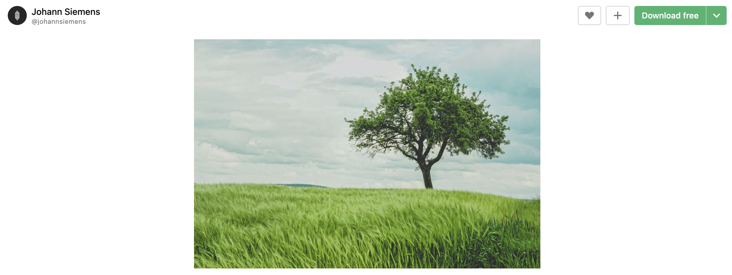 unsplash.com