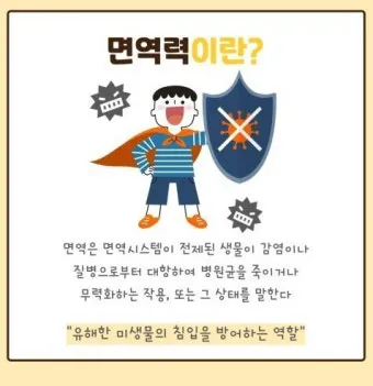 면역력 높이는 하루 루틴과 시간대별 건강 습관_14