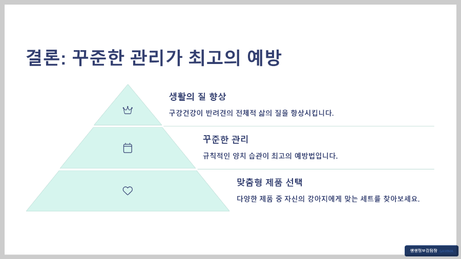 강아지 전용 칫솔 세트 후기 – 구강 건강 지키는 첫걸음