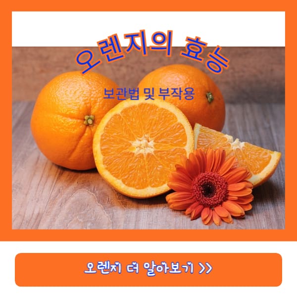 오렌지-효능