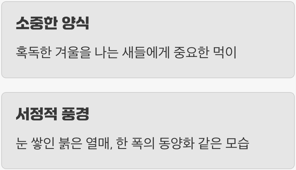 겨울, 새들을 위한 따뜻한 식탁