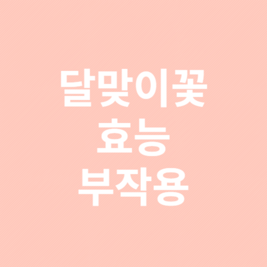 달맞이꽃 종자유 효능 부작용