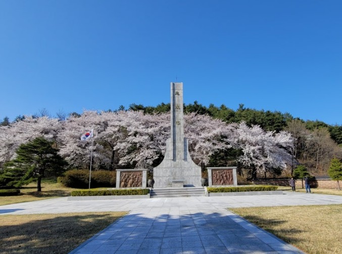 진해탑 &amp; 충혼탑 벚꽃길-01
