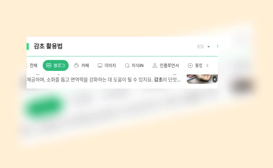 감초 활용법_1_subsection