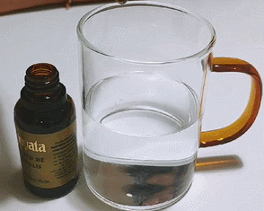 프로폴리스 복용법 먹는 방법