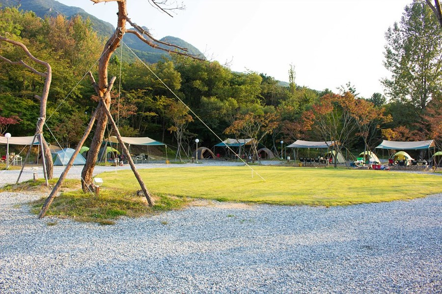 산꽃벚꽃마을 오토캠핑장