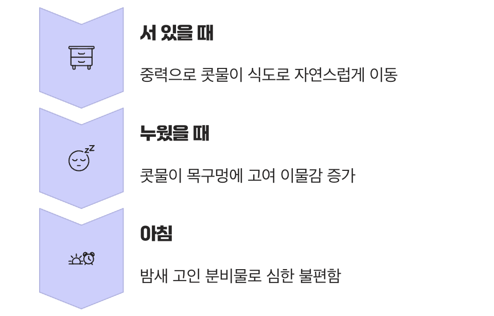 밤에 더 심해지는 이유