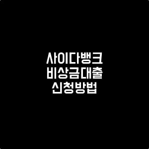 사이다뱅크_비상금대출