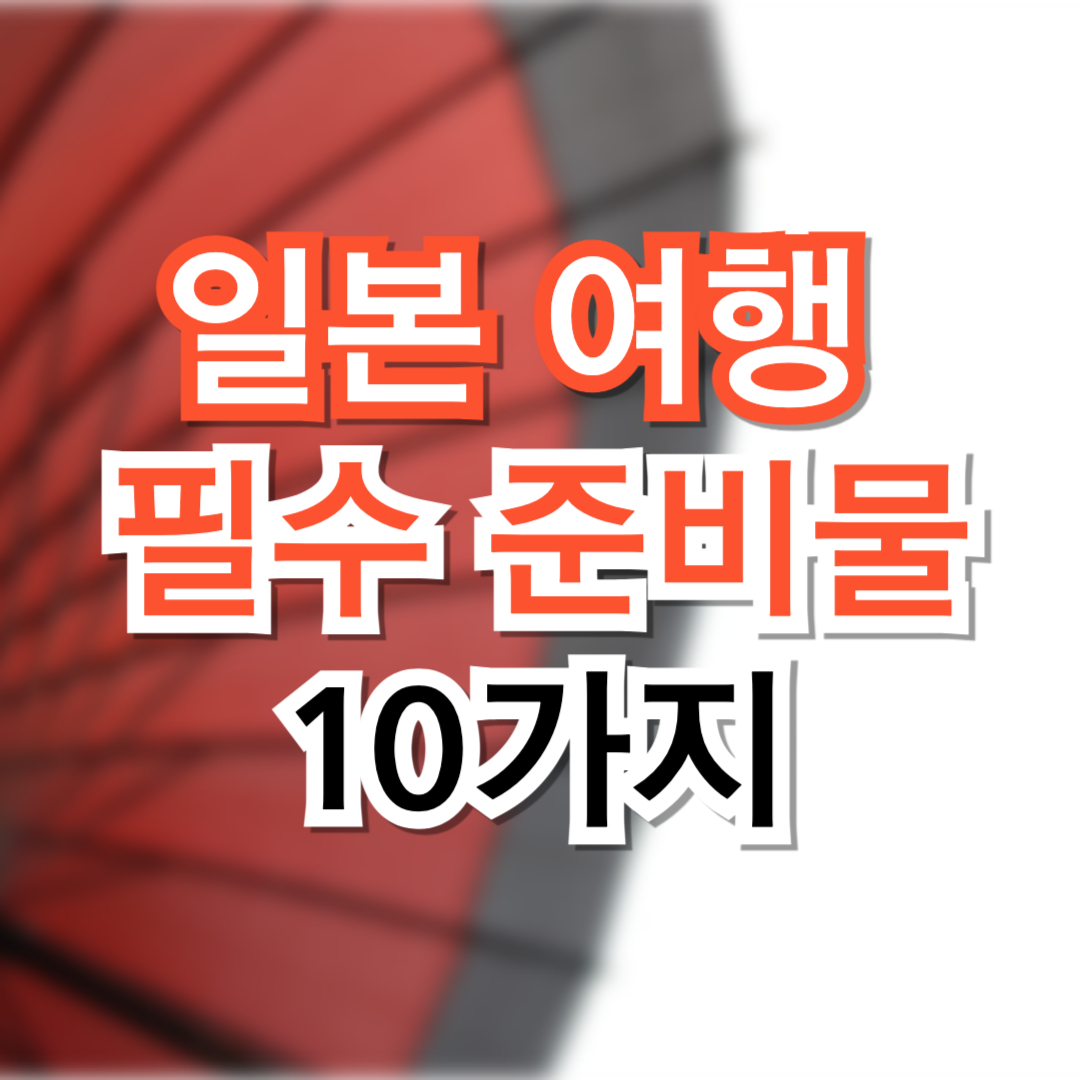 일본 여행 시 필수 준비물 10가지