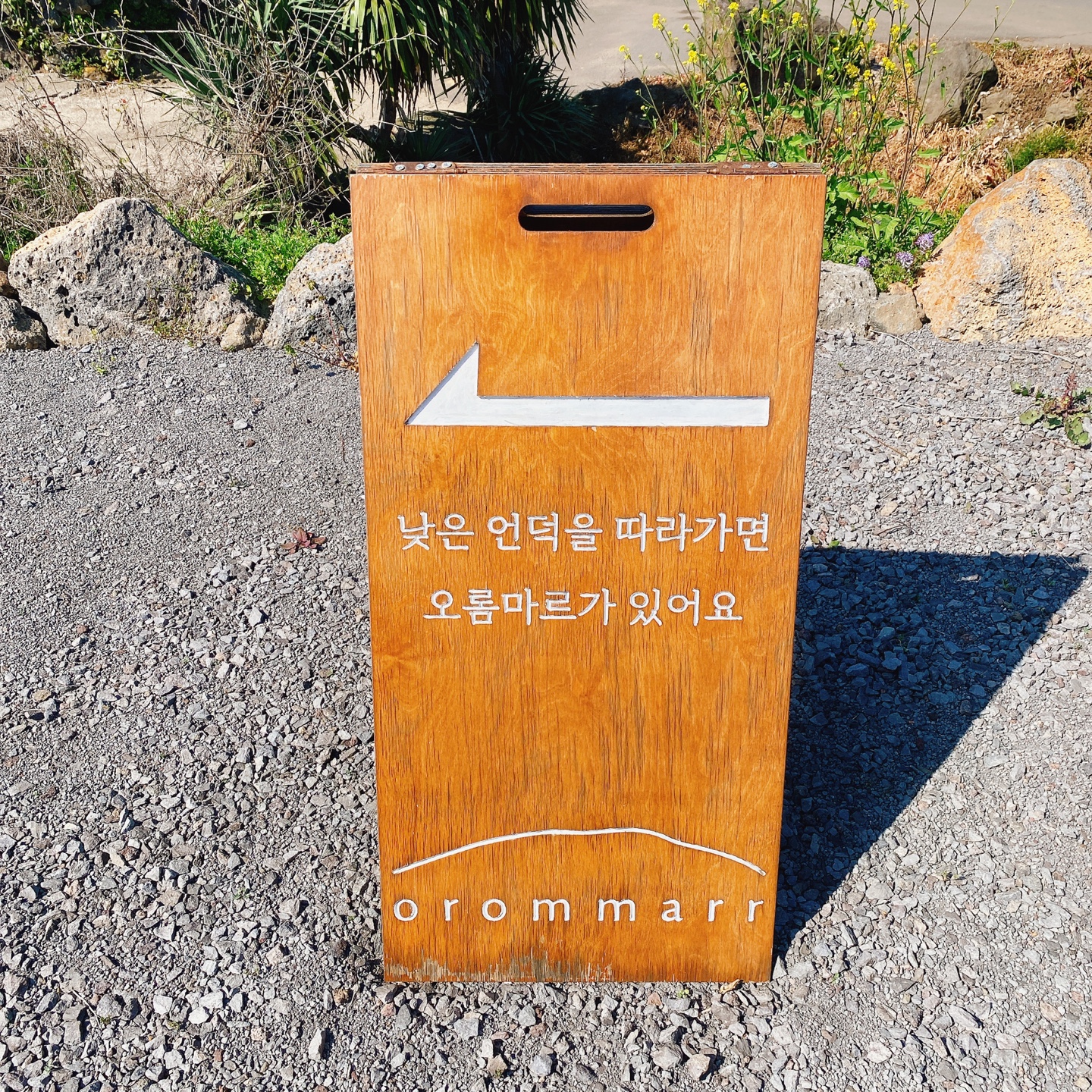 제주 애월 장전리 왕벚꽃거리 근처 문태준 시인 카페 오롬마르