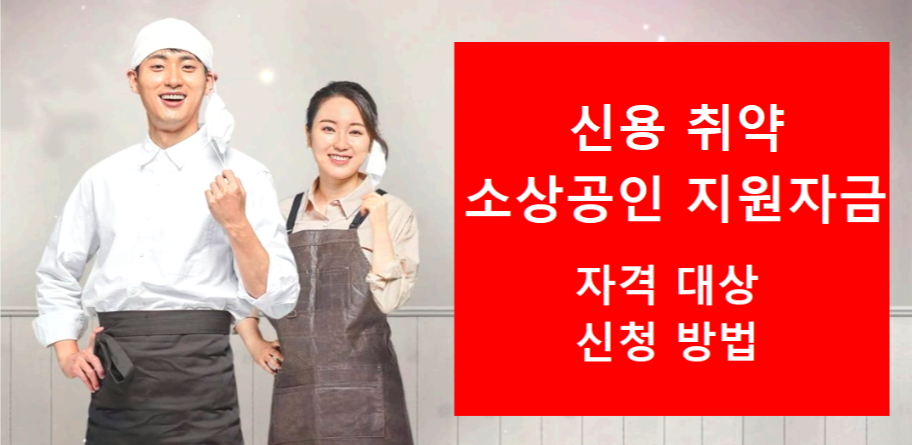 신용 취약 소상공인 정책 자금