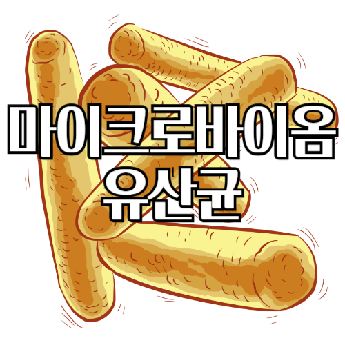 마이크로바이옴유산균