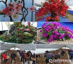 2024 세종전의묘목축제 기본일정과 프로그램 소개