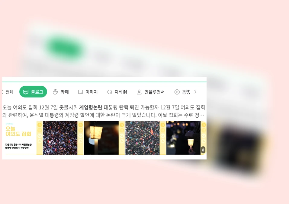 계엄령 논란_1_subsection