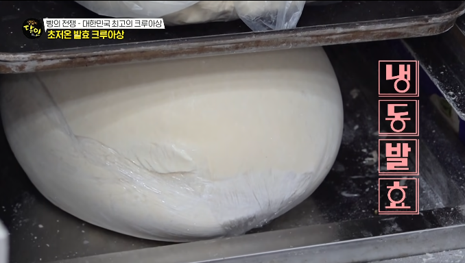 냉동발효