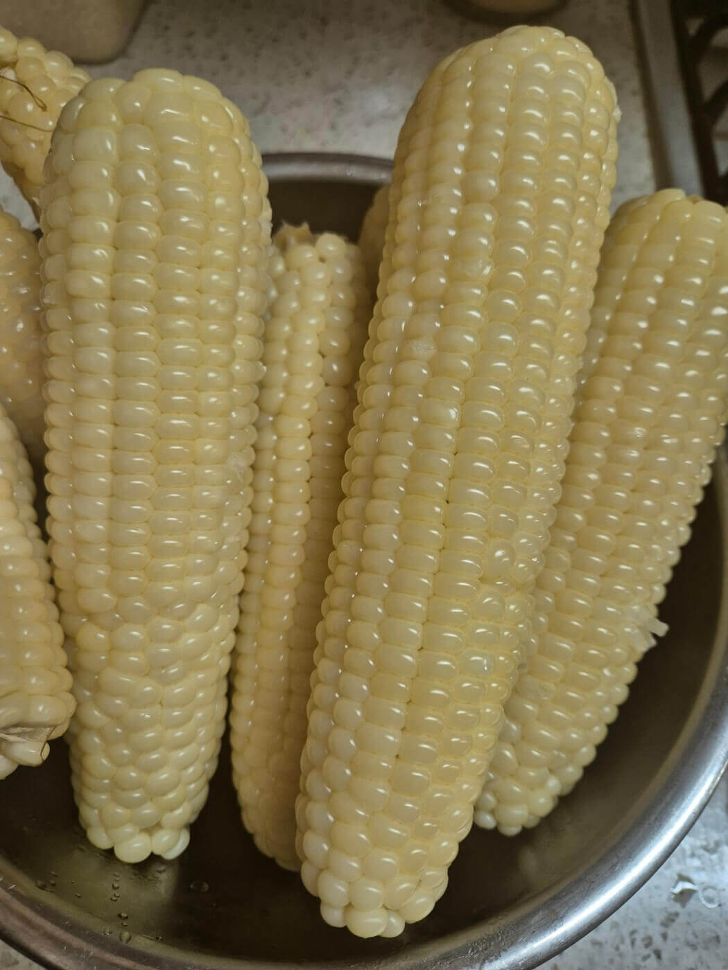 옥수수 삶는 법 시간 뉴슈가 및 보관방법 