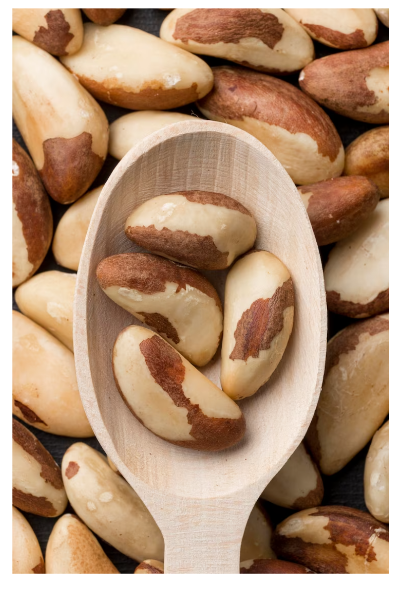 견과류의 종류사진