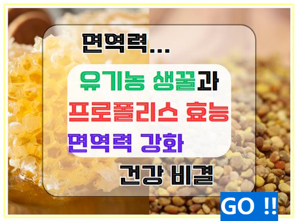 유기농 생꿀과 프로폴리스의 효능: 면역력 강화와 건강 비결