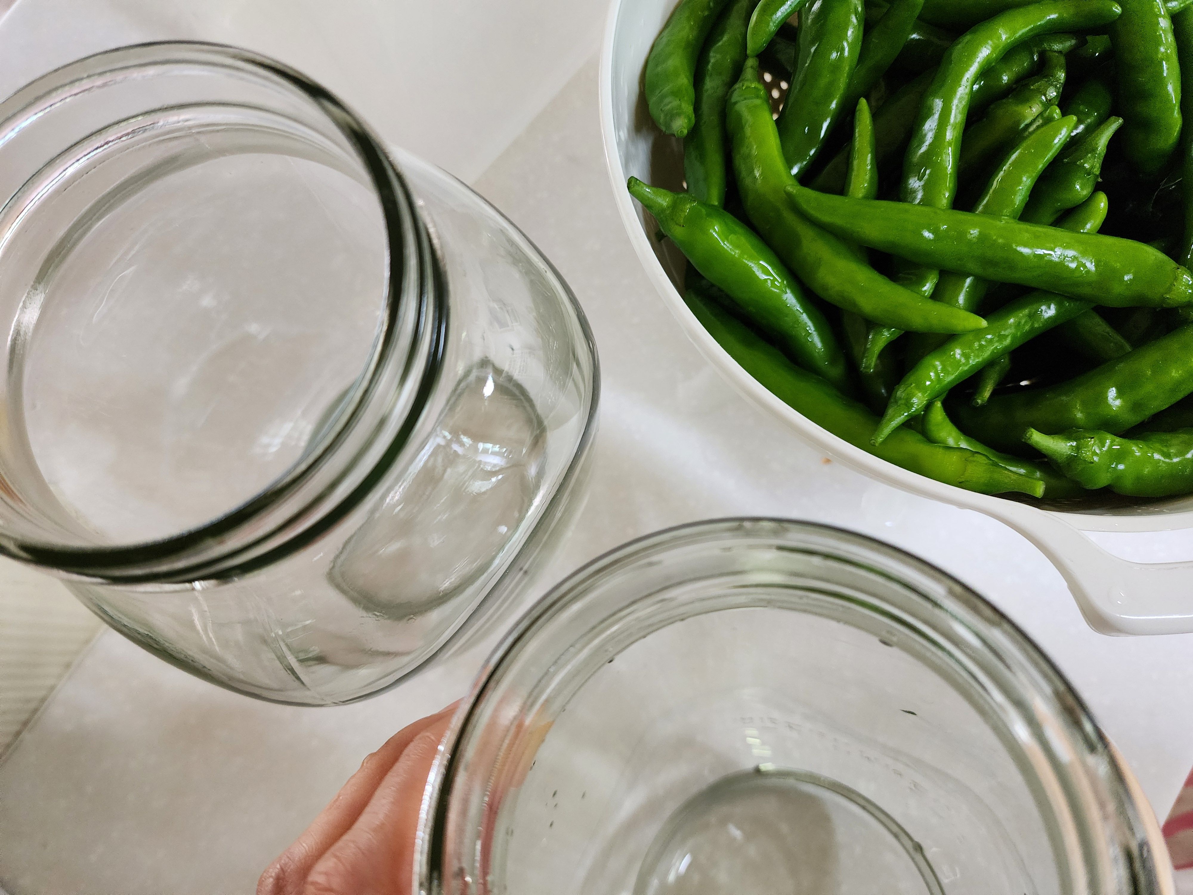 고추장아찌 담그는법, 1년동안 무르지 않게 담그는 비법