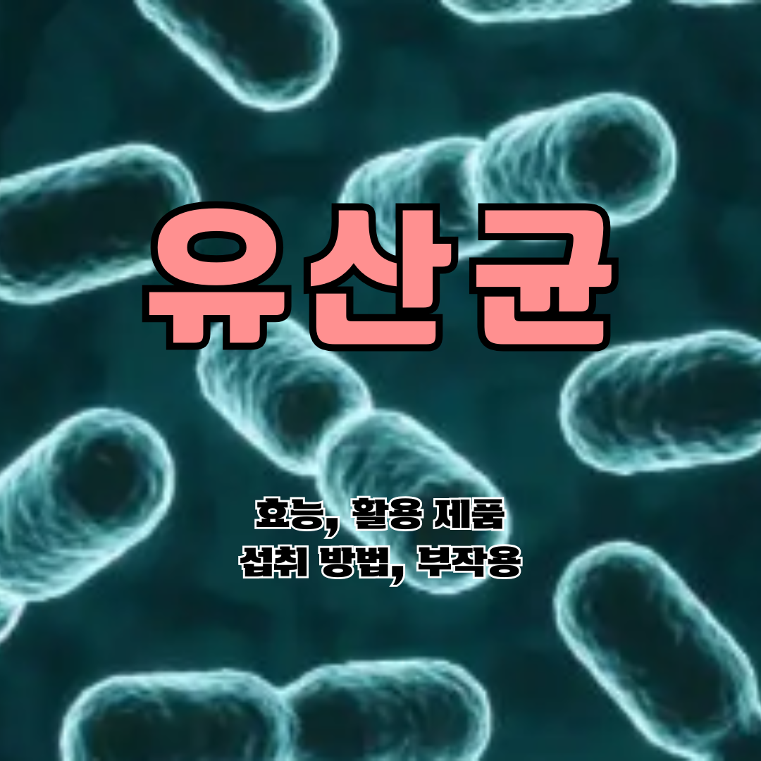 유산균