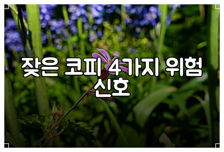 잦은 코피 4가지 위험 신호