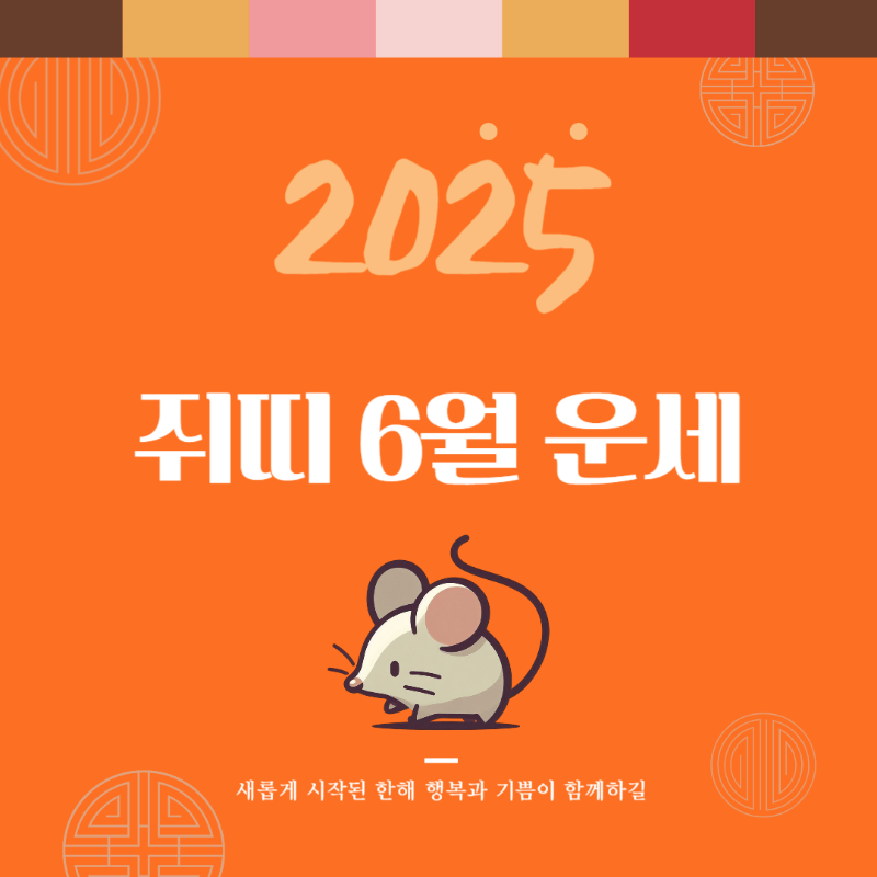 2025년 을사년 『쥐띠』 6월 운세