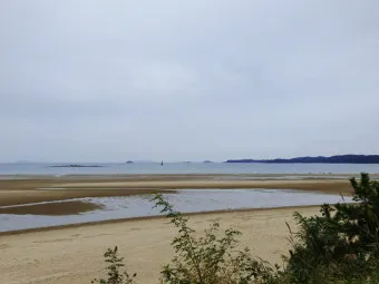태안 신두리해수욕장 신두리해안사구 자연 풍경과 체험_13
